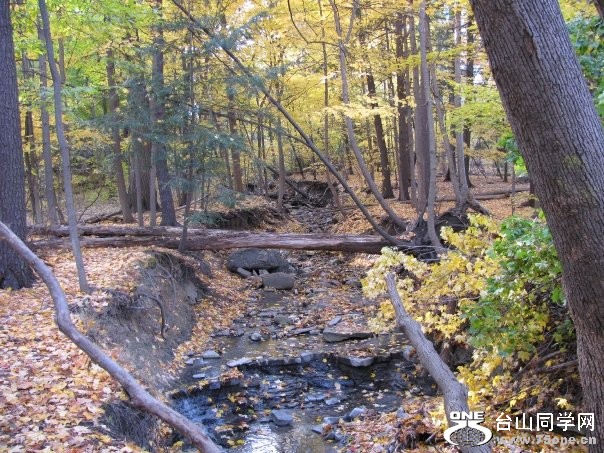 highpark.jpg