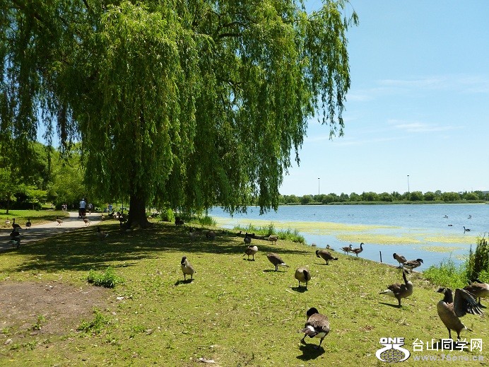 P1010015.JPG