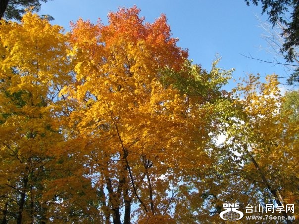 highpark2.jpg
