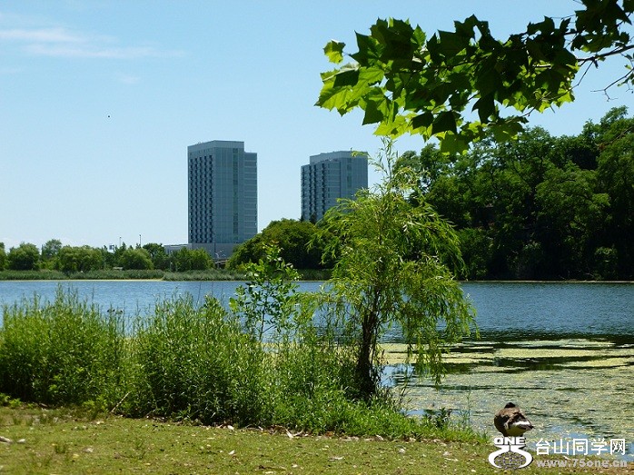 P1010007.JPG