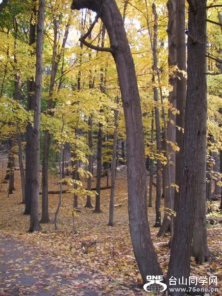 hpark4.jpg