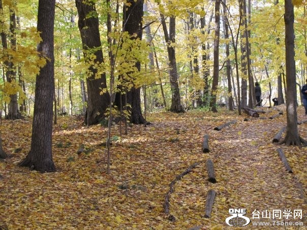 highpark7.jpg