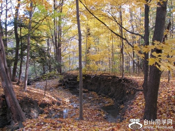 highpark3.jpg