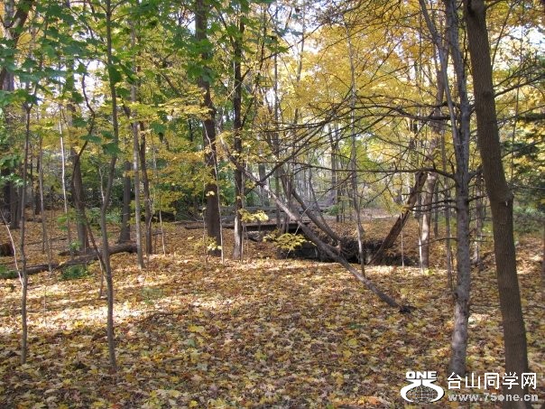 highpark1.jpg