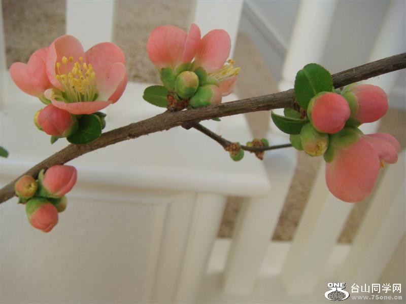 DSC06261 (Medium).JPG