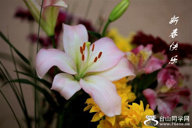 2012 flower 050.JPG1 (Small)1.jpg