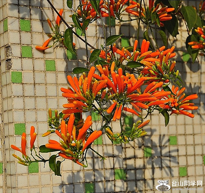 _DSC0637.JPG