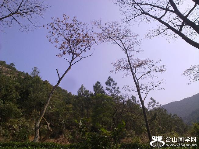 201201312344.jpg