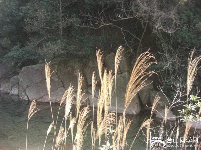 CIMG6967.JPG