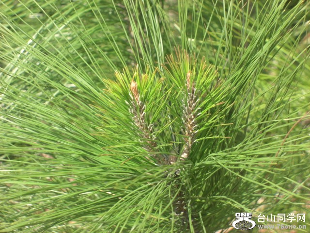CIMG6840.JPG
