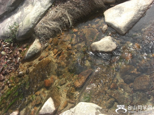 CIMG6896.JPG