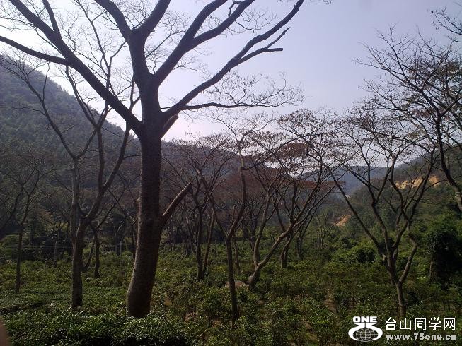 201201312336.jpg