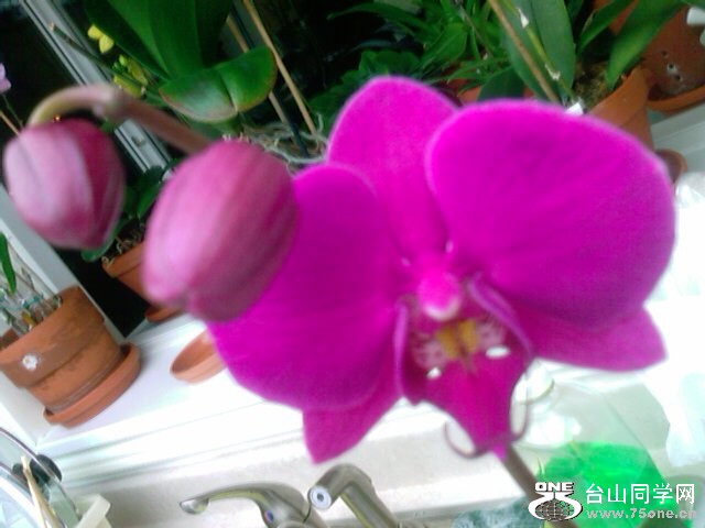 IMAG0401.jpg