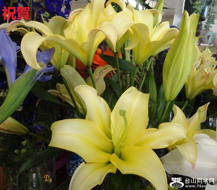 DSC00792-d2.jpg