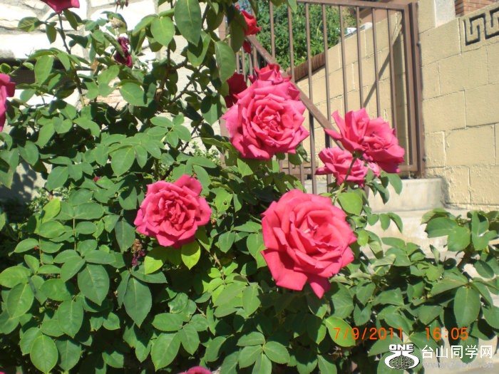 2011_07100036.JPG