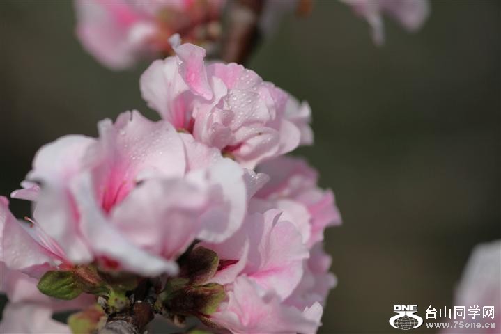 IMG_05777 (Small).jpg