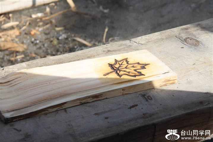 IMG_0178 (Small).JPG