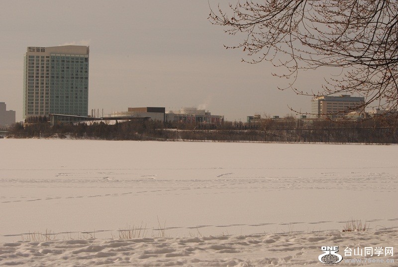 DSC_0193.JPG