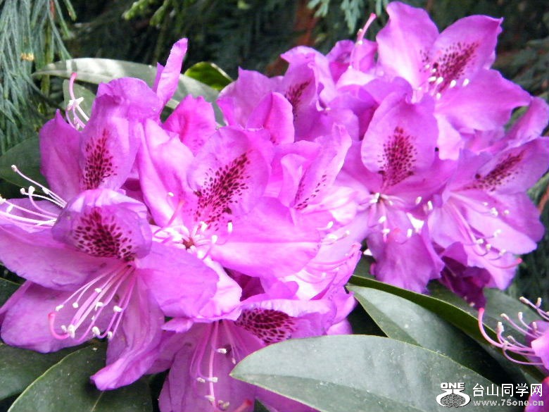 DSCF4583.JPG