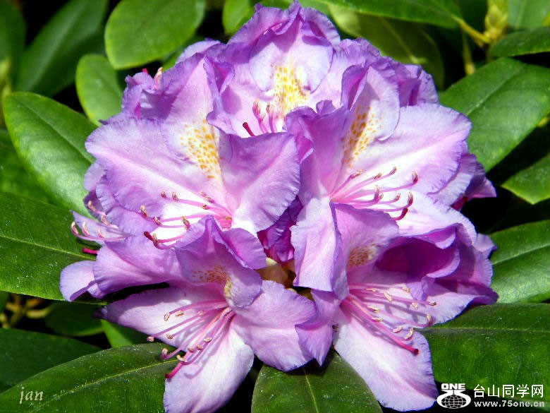 DSCF4545=.jpg