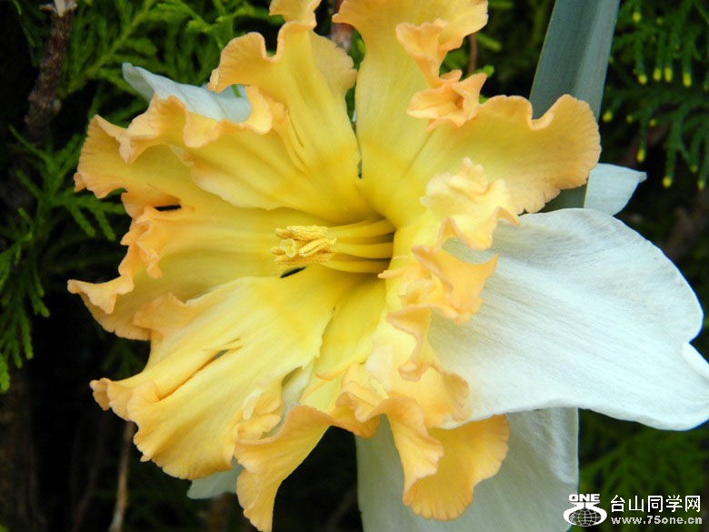 DSCF4670=.jpg
