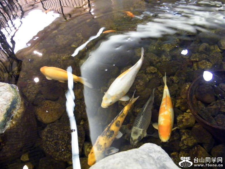 DSCF9586.JPG