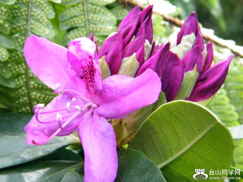 DSCF4588.JPG