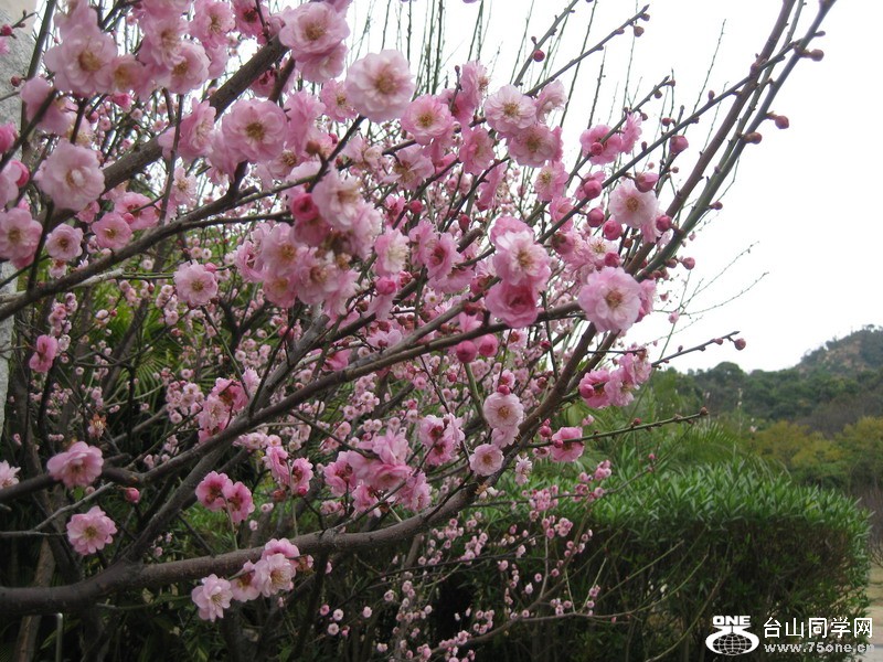 ܸ÷ 063.jpg