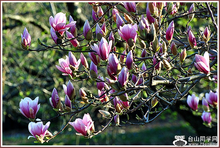 dsc_3229.jpg