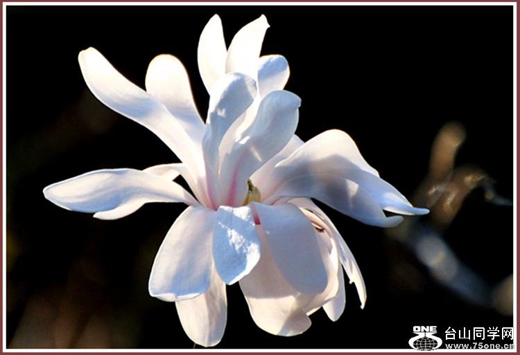dsc_3324.jpg