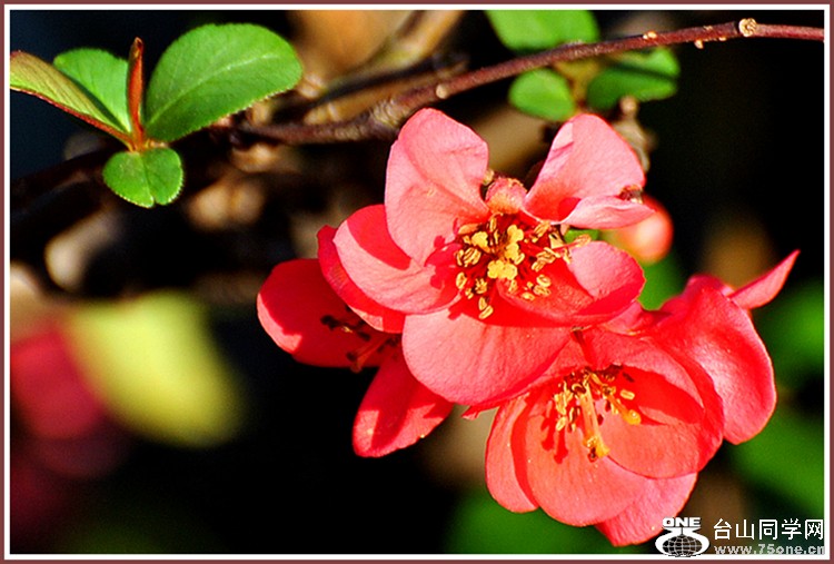 dsc_3332.jpg