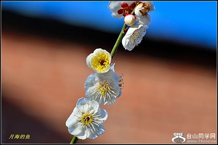 DSC_7582.jpg