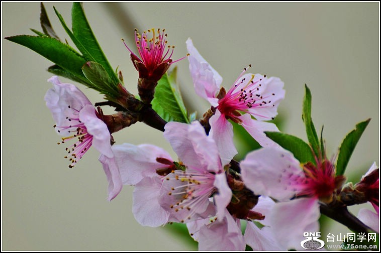 DSC_9112.jpg