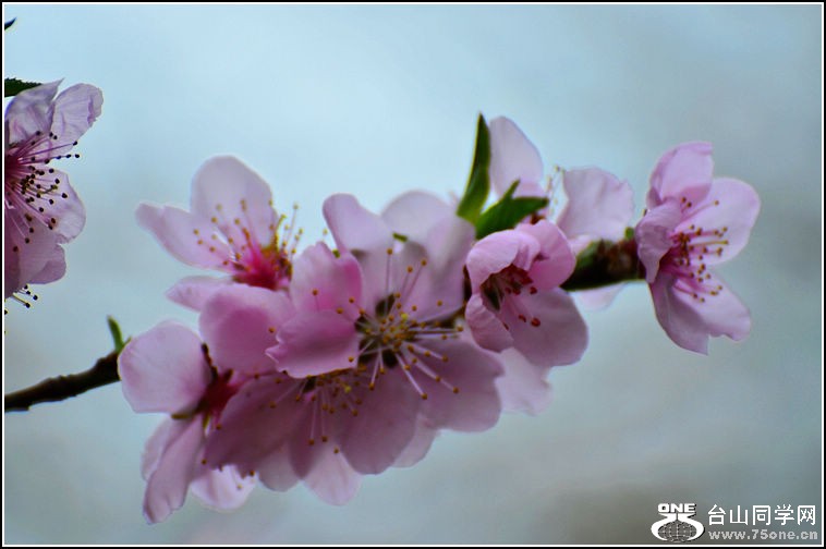 DSC_9089.jpg