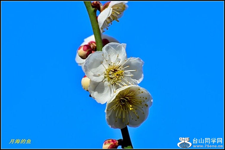 DSC_7586.jpg