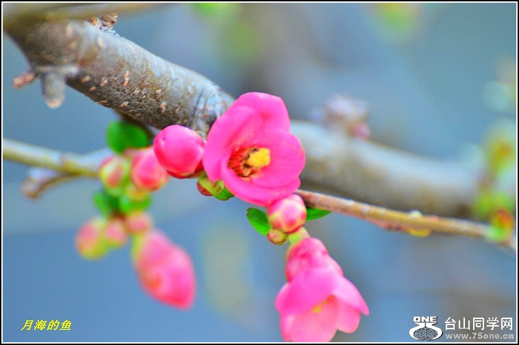 DSC_7696.jpg
