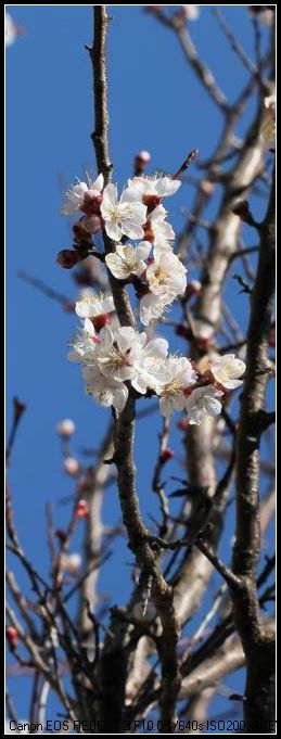 С IMG_2521.JPG