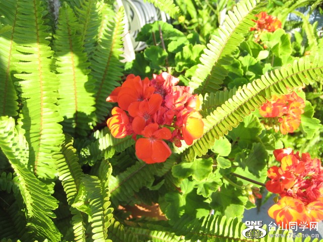 IMG_3782.JPG