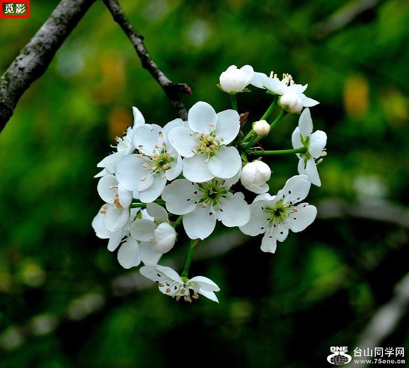 DSC_4488a.jpg