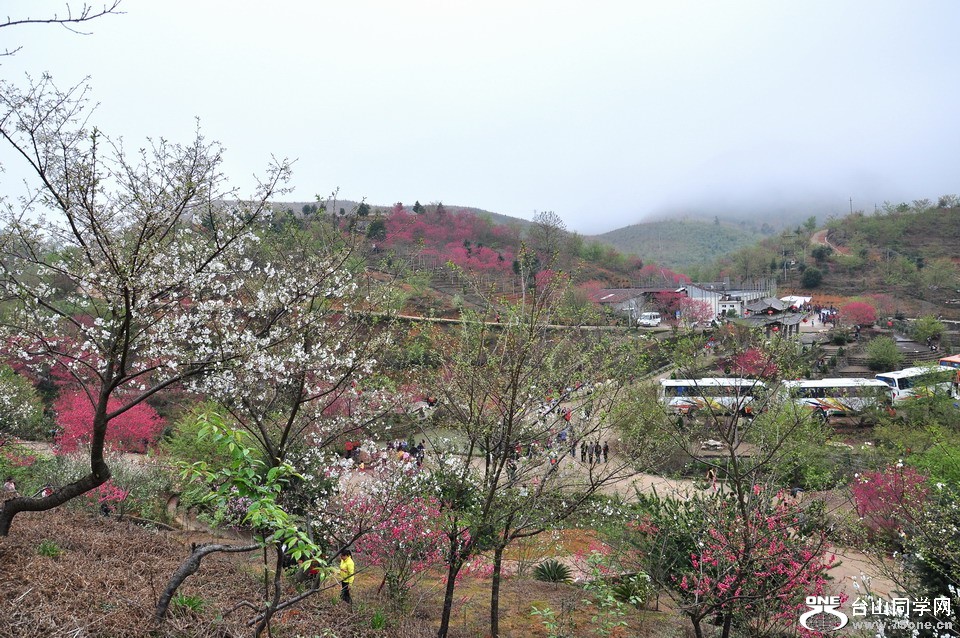 DSC_4787aa.jpg