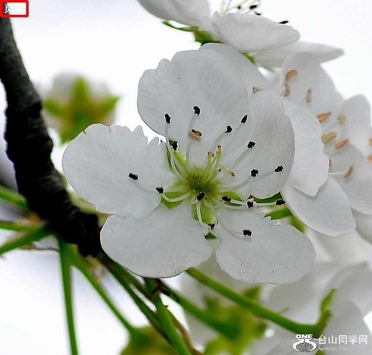 DSC_4474a.jpg