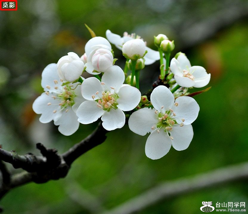 DSC_4489a.jpg