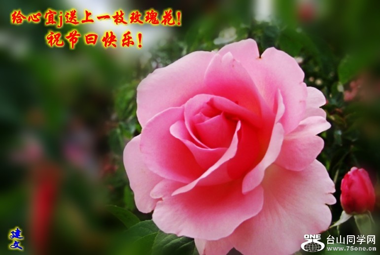 2006218107468974_conew16.gif