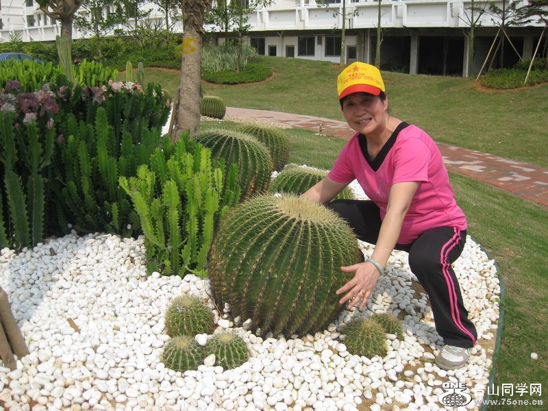 ˸Ů 074.jpg