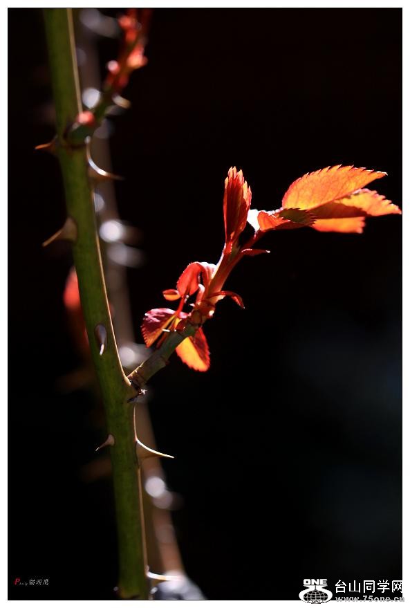 �}�u -���»�2 121a.jpg