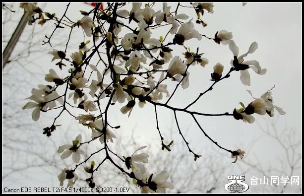 ������С IMG_2419.JPG