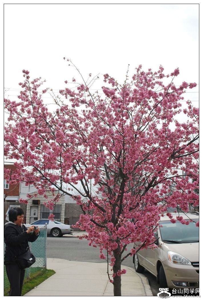 nEO_IMG_DSC_0003.jpg