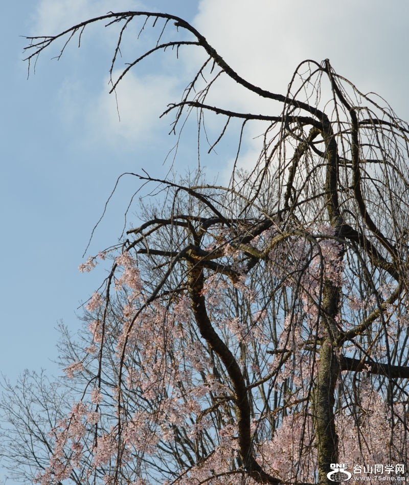 Spring 080.jpg