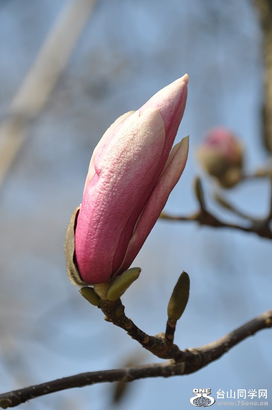 DSC_0011_.jpg
