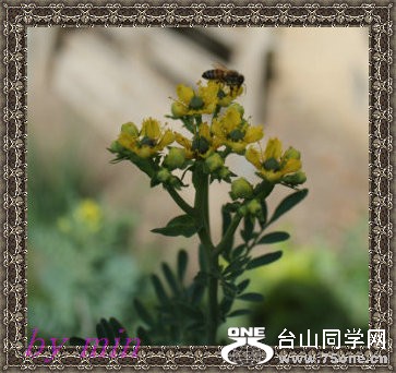 2012_03010069.JPG